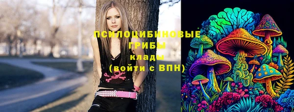 эйфоретик Магадан