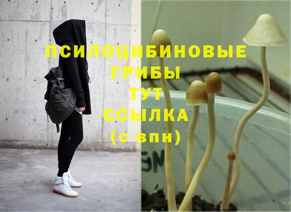 марихуана Магас