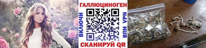 Галлюциногенные грибы MAGIC MUSHROOMS  Купить  Невельск 
